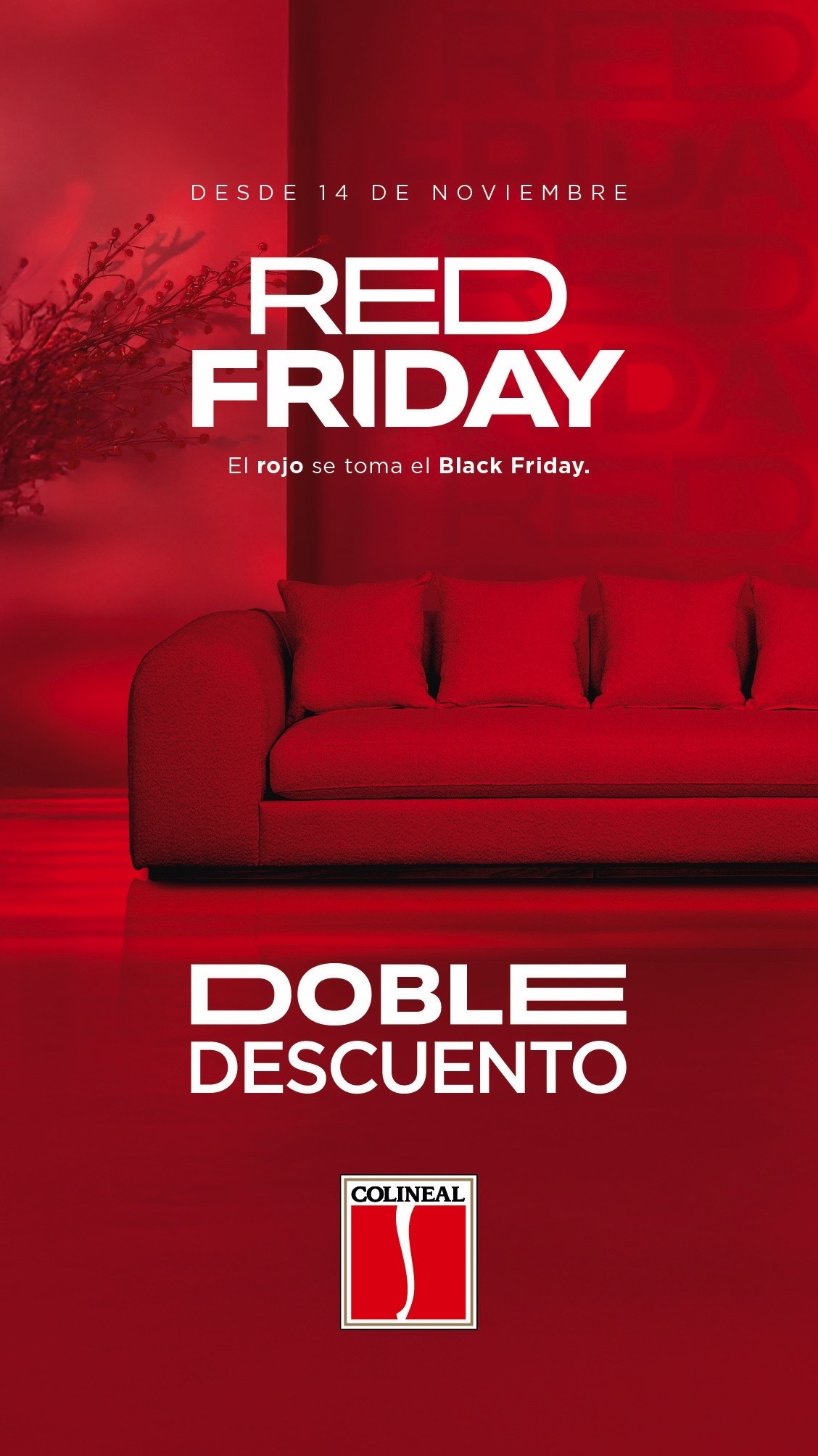 ¡PROMOCIONES COLOR DAYS! 🎉✨